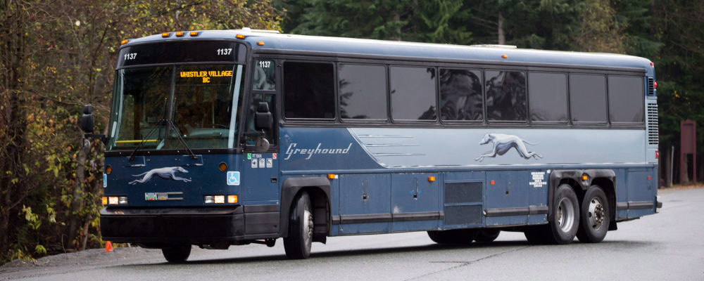 A Greyhound bus in Whistler, B.C. Darryl Dyck/The Canadian Press.