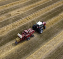 In this photo taken using a drone, a farmer crops a field in Mississippi Mills, Ont., on Tuesday, Aug 10, 2021. Sean Kilpatrick/The Canadian Press.