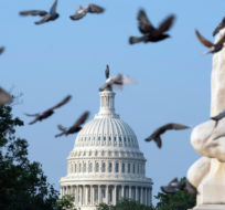 The U.S. Capitol is seen in Washington, early Tuesday, July 27, 2021. Democrats are launching their investigation into the Jan. 6 Capitol insurrection. Jose Luis Magana/AP Photo.
