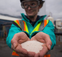 Senior process engineer Jane Ritchie holds solid calcium carbonate pellets that were formed by precipitating captured carbon dioxide at Calgary-based Carbon Engineering's first direct air capture plant in Squamish, B.C., on Wednesday October 7, 2015. The plant extracts carbon dioxide directly from atmospheric air in a closed-loop industrial process. Darryl Dyck/The Canadian Press.