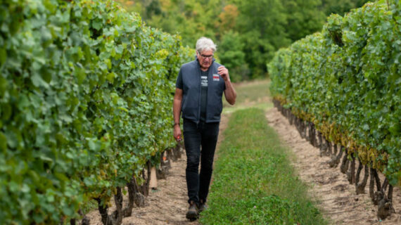 Thomas Bachelder walking amongst his vineyard. Credit: Thomas Bachelder.