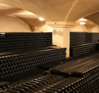 Bottle cellar at the Emidio Pepe winery in Abruzzo, Italy. Photo credit: Malcolm Jolley.