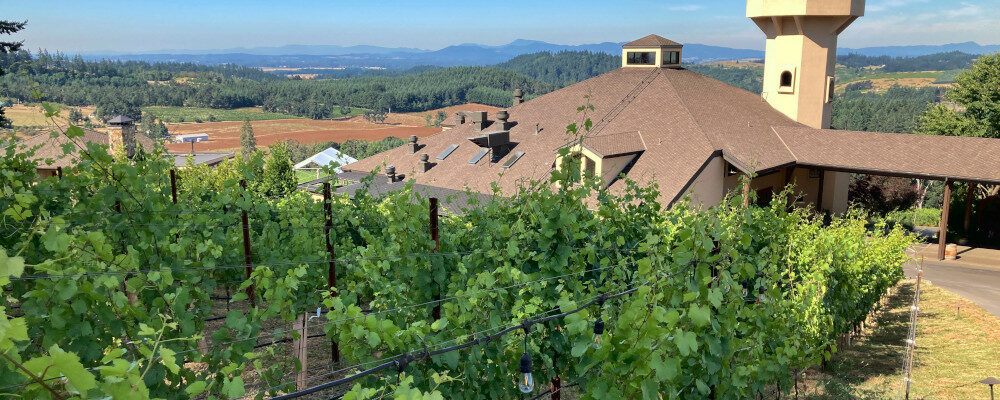 Willamette Valley Vineyards tasting rooms are seen amid the vineyards in Turner, Ore. on Friday, July 9, 2021, with the mountains of the Coast Range beyond. Andrew Selsky/AP Photo.