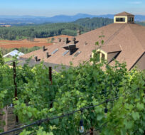 Willamette Valley Vineyards tasting rooms are seen amid the vineyards in Turner, Ore. on Friday, July 9, 2021, with the mountains of the Coast Range beyond. Andrew Selsky/AP Photo.