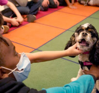 Tillie the therapy dog sits among third graders at Quincy Elementary School, Wednesday, Nov. 3, 2021, in Topeka, Kan. Charlie Riedel/AP Photo.