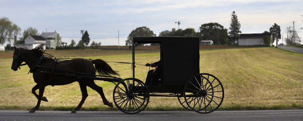 Bishop Marvin and his wife, Stella, steer their horse-drawn buggy toward church
on May 17, 2020, in New Holland, Pa. Jessie Wardarski/AP Photo.