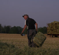 Farmer Randy Spoelstra carries a bale of hay as he works a field in Hamilton, Ont., Wednesday, June 7, 2023. Chris Young/The Canadian Press. 