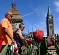 People walk along Wellington Street as the Peace Tower is seen on Parliament Hill’s Centre Block from beyond a bed of tulips in Ottawa, on Wednesday, May 11, 2022. Justin Tang/The Canadian Press. 