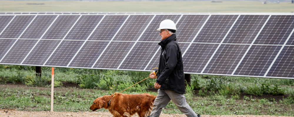 Landowner Duane Olson and his dog Bella walk past solar panels at the opening of the Michichi Solar project near Drumheller, Alta., Tuesday, July 11, 2023. Jeff McIntosh/The Canadian Press. 