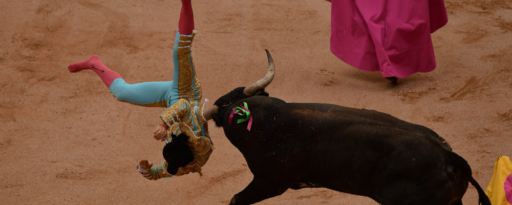 Bullfighter Ruben Pinar is pushed by Miura's bull during the last bullfight of the San Fermin Festival in Pamplona, northern Spain, Friday, July 14, 2023. Alvaro Barrientos/AP Photo. 