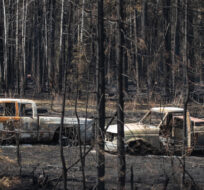 Burnt out trucks from a wildfire sit on a property near Drayton Valley, Alta., Wednesday, May 10, 2023. Jason Franson/The Canadian Press. 