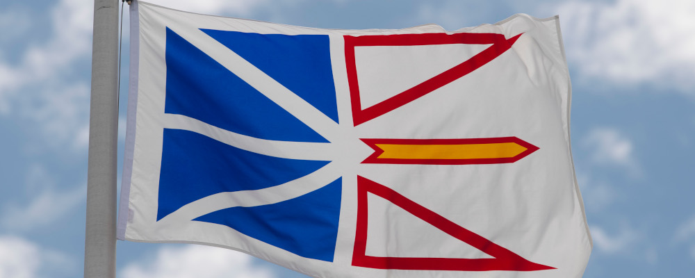 Newfoundland and Labrador's provincial flag flies on a flag pole in Ottawa,  Friday July 3, 2020. Adrian Wyld/The Canadian Press. 