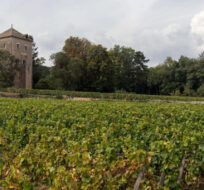 In this Sept. 10, 2012 photo, the Gevrey-Chambertin castle stands in Burgundy, Eastern France. Laurent Cipriani/AP Photo. 
