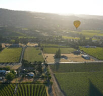 A hot air balloon floats over vineyards, seen from a Napa Valley Aloft balloon, in Napa, Calif., Monday, June 19, 2023. Eric Risberg/AP Photo. 