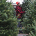 Fred DeLorey: Why real Christmas trees matter more than ever