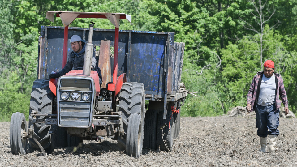 Peter Csillag: Is ending the Temporary Foreign Worker Program a good idea?
