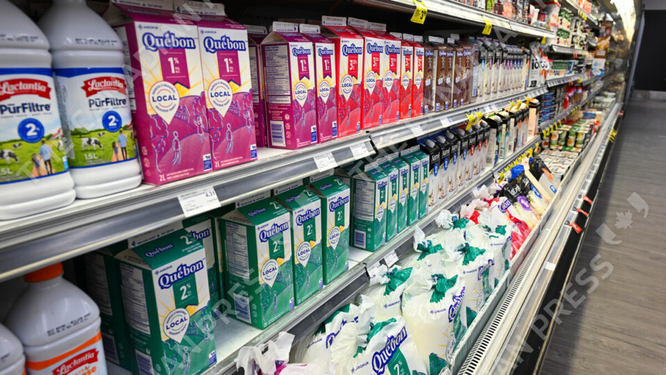 ‘The dairy farmers are the most powerful lobby in Ottawa’: David Clement on the Trump administration challenging Canada’s dairy supply-management system
