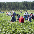 Rudyard Griffiths and Sean Speer: Canada’s immigration consensus is shattering. Here’s why