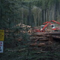 Derek Nighbor: From decline to growth: Getting Canadian forestry’s swagger back 