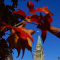 Tim Sargent: Letter to a minister: How to protect the environment and support economic growth at the same time 