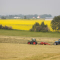 Canada must call China’s bluff on canola 
