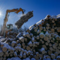 Canadian forestry ‘could be a multi-billion dollar’ resource: Five takeaways on the future of the lumber industry
