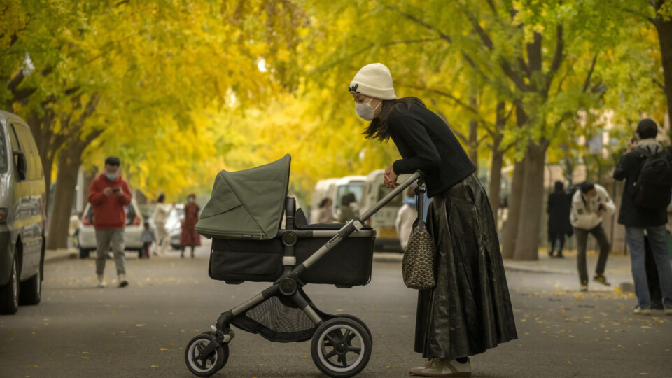 The collapsing birth rate becomes front-page news, and a long-foretold financial crash? The Hub predicts 2026 